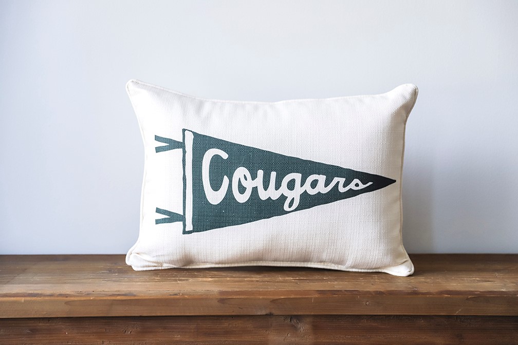 Custom Team Pennant Pillow TXT0879