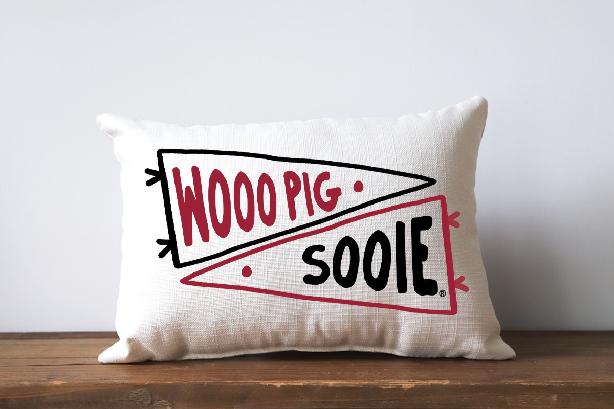 Arkansas Double Collegiate Pennant Pillow ARK0031