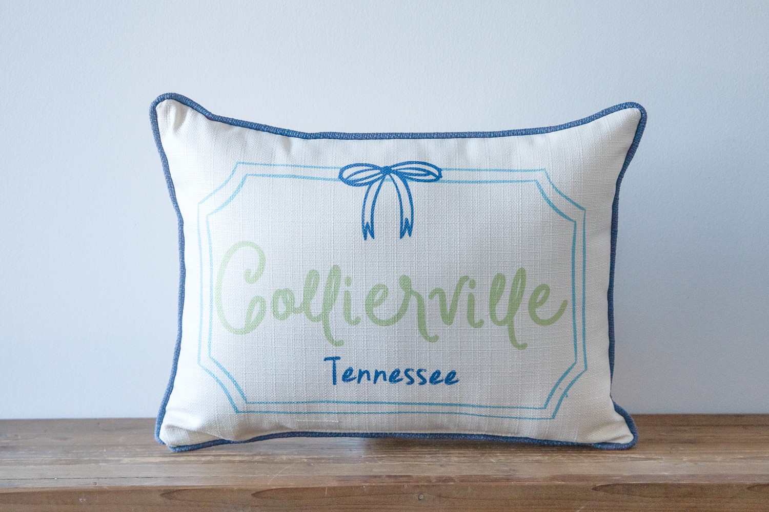 Ribbon Frame Hometown Pillow STE0874
