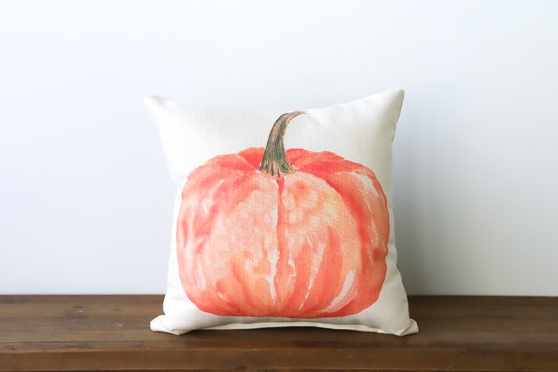Faded Pumpkin Pillow SEA0006