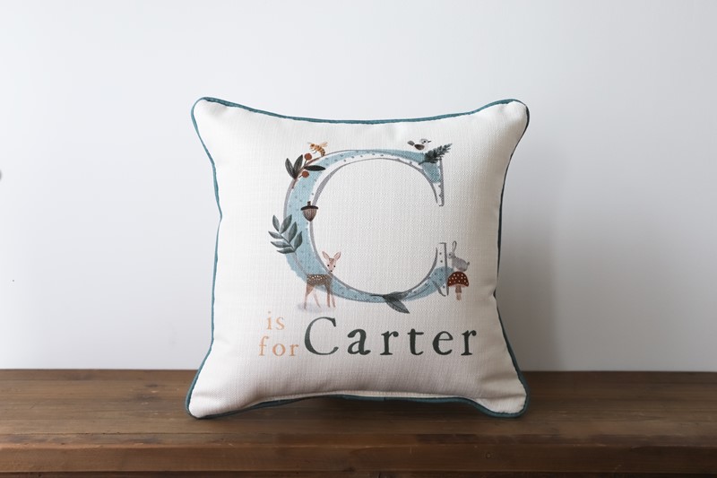 Critter Initial Boy Pillow CHI0137