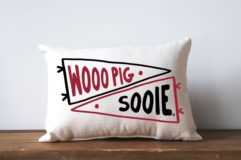Arkansas Double Collegiate Pennant Pillow ARK0031