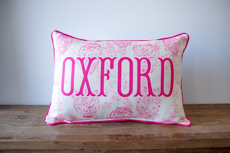 Pink Monkey Pattern Hometown Pillow STE0860