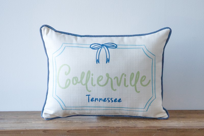 Ribbon Frame Hometown Pillow STE0874