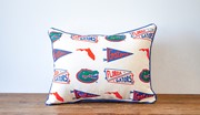 Florida Collegiate Cluster Pillow UF0022 View 2