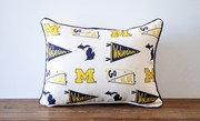 Michigan Collegiate Cluster Pillow MICH0023 View 2