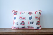 Ohio State Collegiate Cluster Pillow OHST0028 View 3