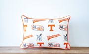 Tennessee Collegiate Cluster Pillow UTEN0039 View 4