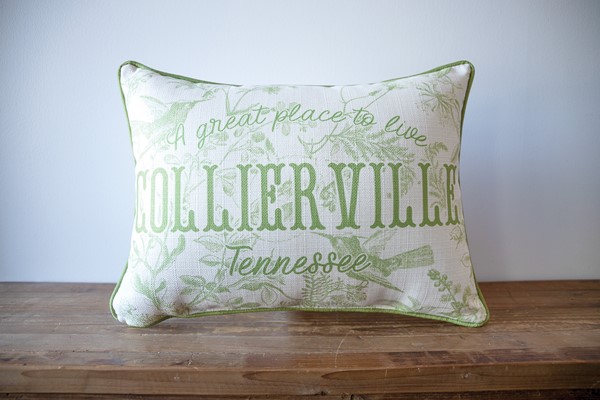 Great Place Sage Hummingbird Toile Pillow